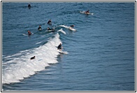 Surfeando