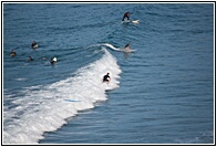 Playa de Langre