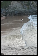 Playa de Antuerta