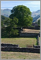 Prados y Campias