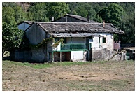 Cabaa