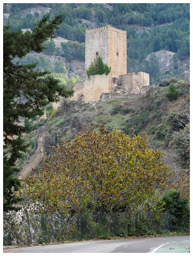 Castillo de la Yedra