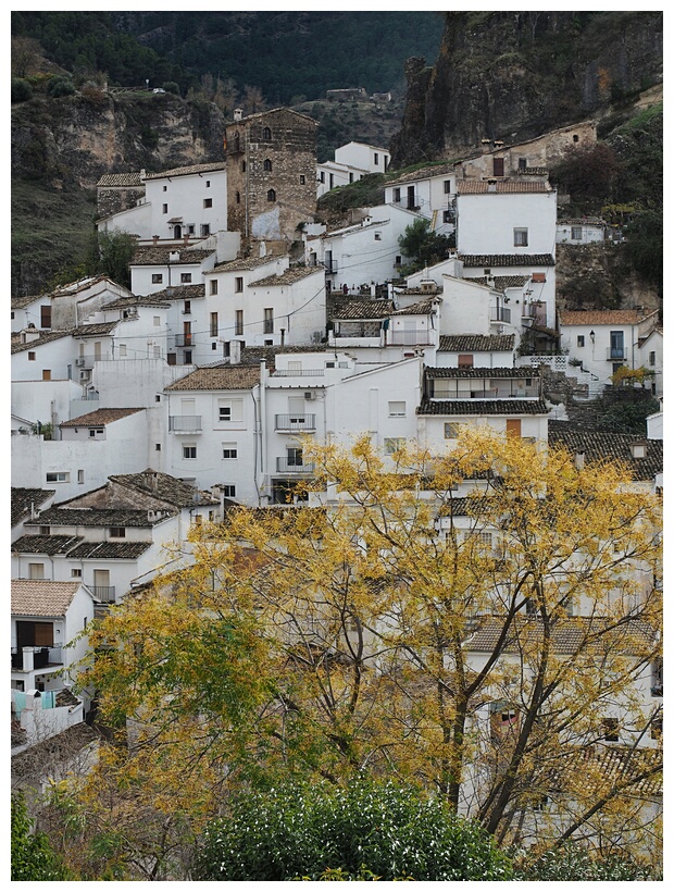 Cazorla