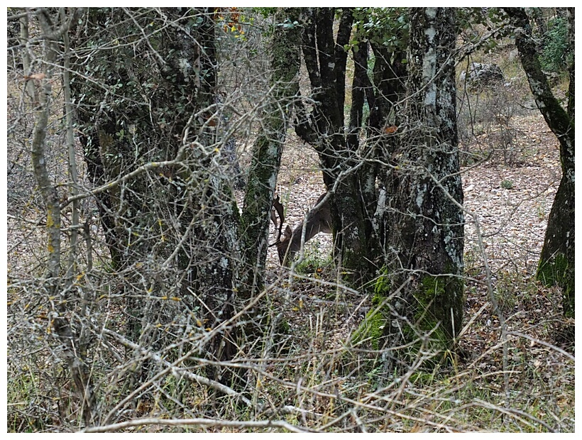 Sierra de Cazorla