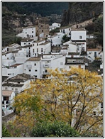Cazorla