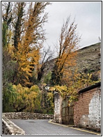 Cazorla