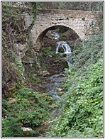 Ro Cerezuelo