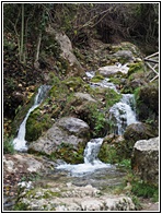 Ro Cerezuelo
