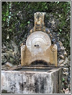 Fuente del Coico
