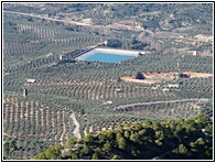 Olivares