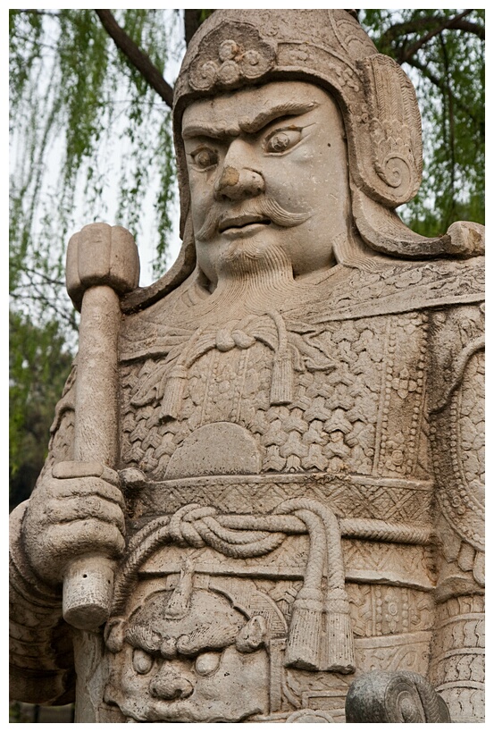 Armed Warrior