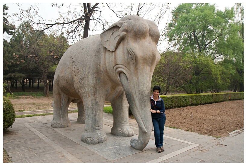 The Elephant