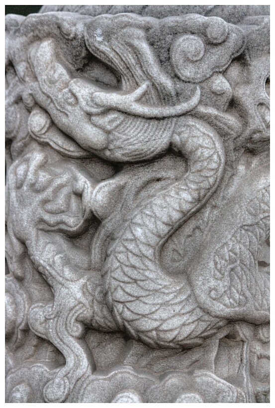 Dragon Among Clouds