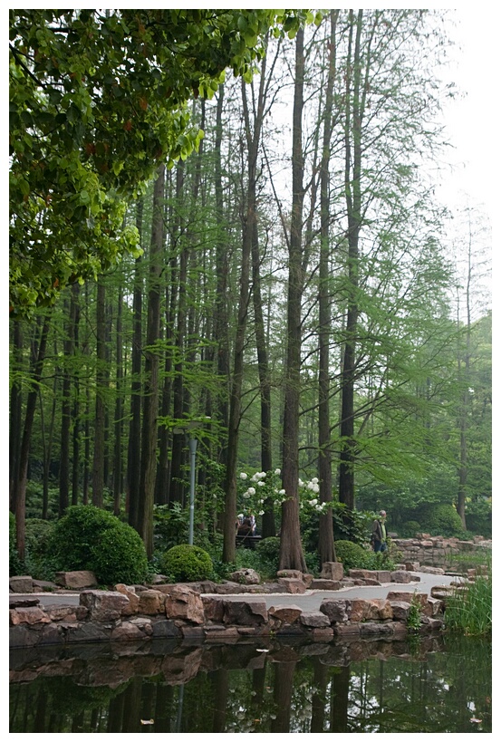 People's Park
