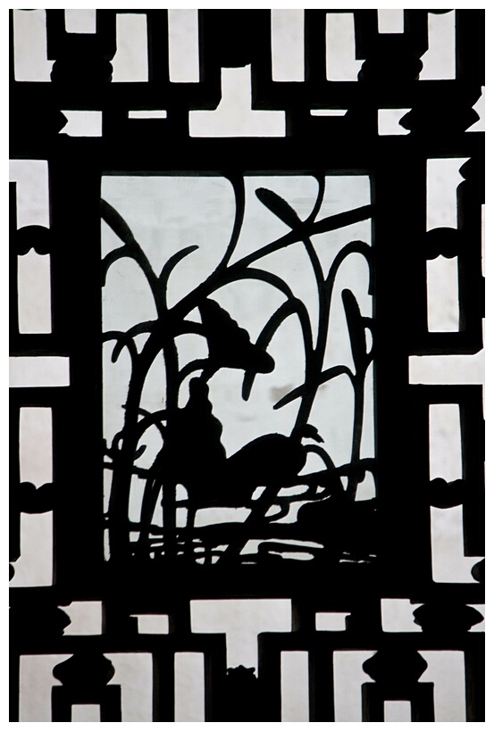 Patterned Screen