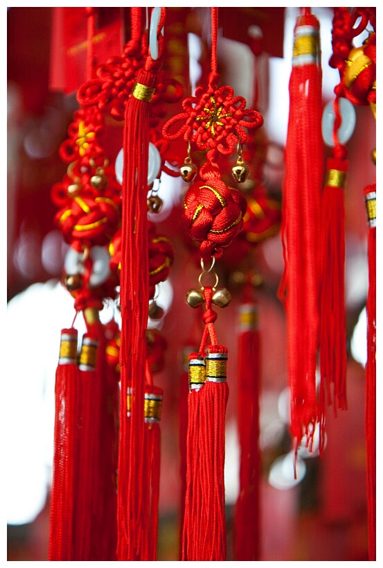 Wishes for You