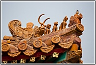 Roof Guardians