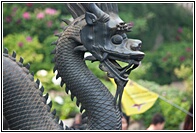 Bronze Dragon