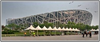 The Bird's Nest