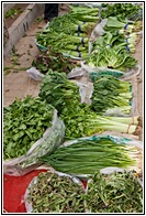 Chinese Herbs