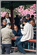 Playing Cards