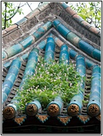 Blue Tiles