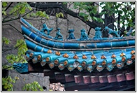 Turquoise Roof