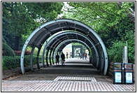 Renmin Park