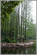 People's Park