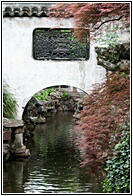 View for Frolicking Fish