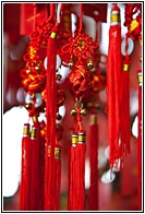 Wishes for You