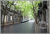French Concession