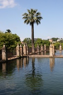 Estanque del Alczar