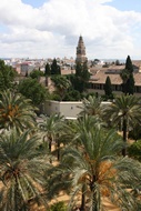Panorama Cordobs