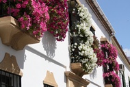 Balcones Floridos
