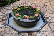 Fuente Domstica