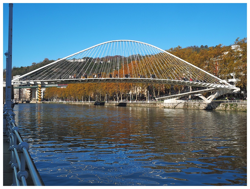 Puente Zubizuri