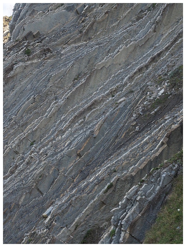 Flysch de Zumaia