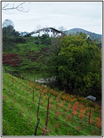 Colinas de Guetaria