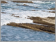 Flysch de Zumaia