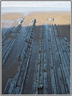 Flysch