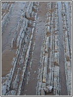 Flysch