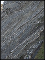 Flysch de Zumaia