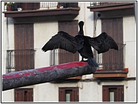 Ondarroa