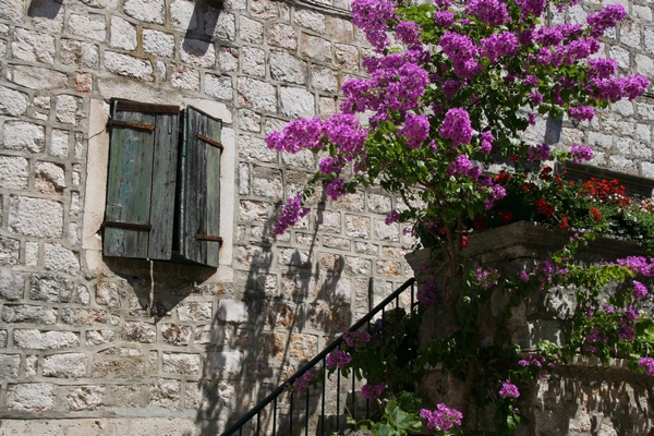 Piedra y Flores