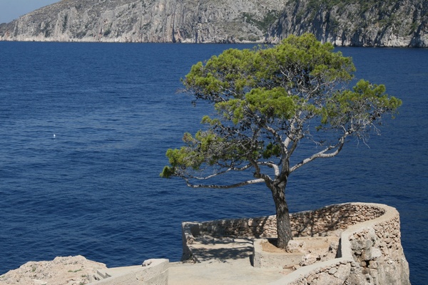 Paisaje Mediterrneo