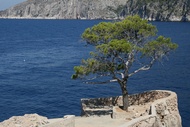 Paisaje Mediterrneo