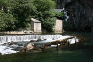 Ro Buna