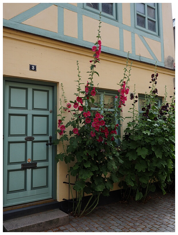 Odense