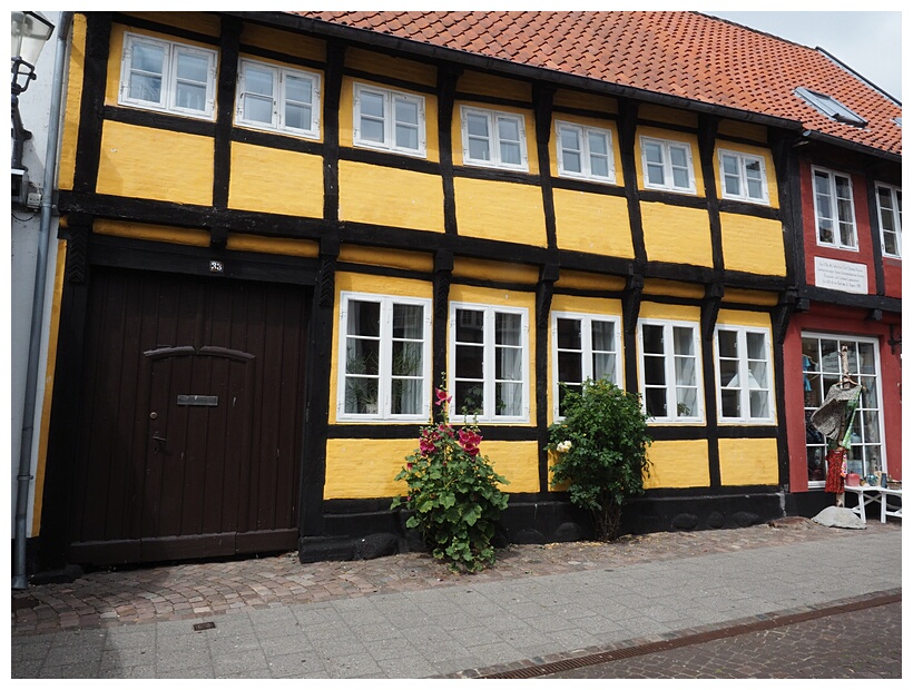 Ribe Houses